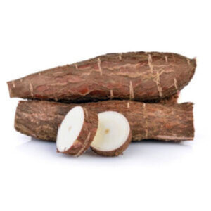 Cassava