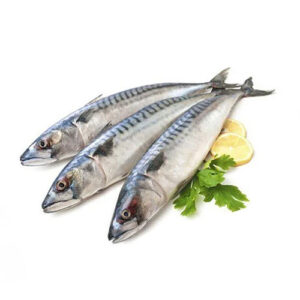 Fresh Frozen Fish