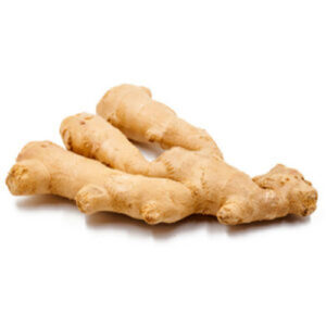 Ginger