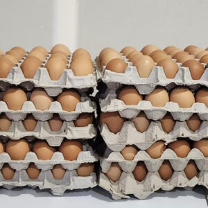 Eggs
