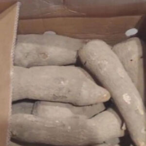 Yam